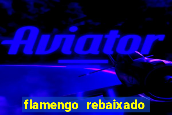 flamengo rebaixado em 1995